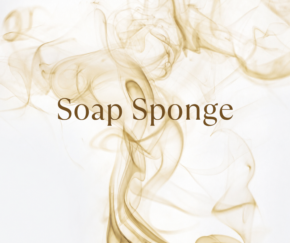 Soap Sponge